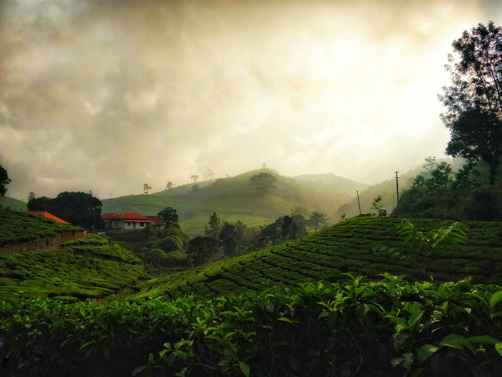 Business Travel in Kerala
